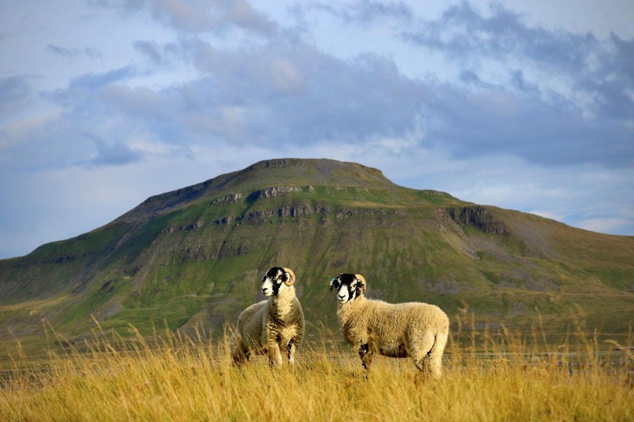 英格尔顿 Crina Bottom - Offgrid Mountain Escape In The Yorkshire Dales National Park酒店 外观 照片